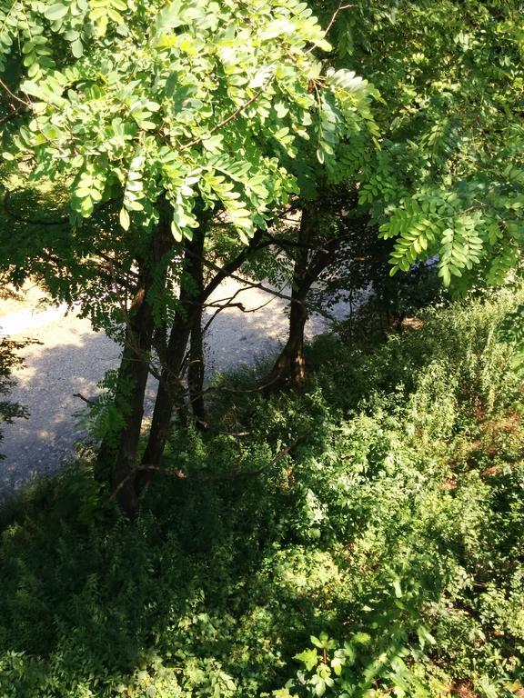 Casetta Next To The Creek Dino Buzzati Belluno Oda fotoğraf